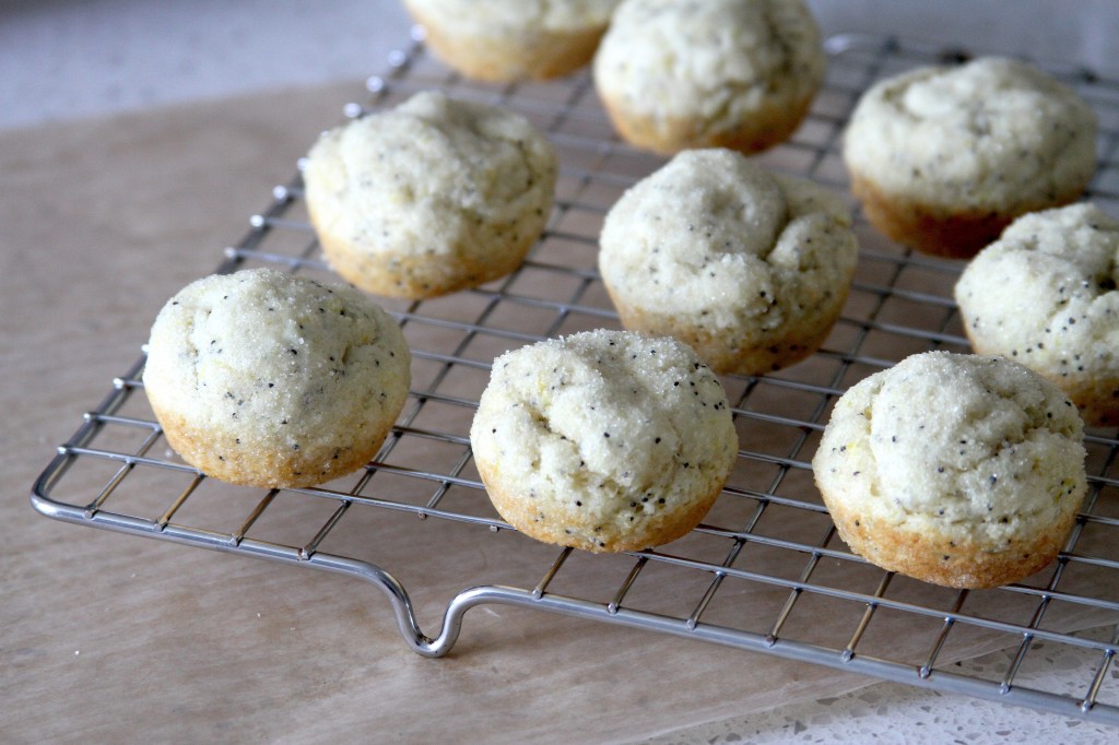 Easy Donut Recipe: Lemon Poppy Seed Donut Bites